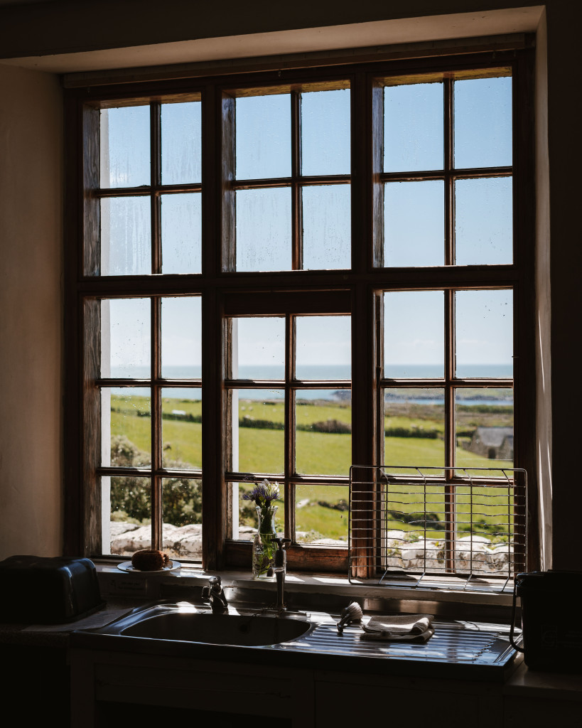A kitchen sink beneath a large window looks out onto a green field and a distant blue sky; a dish rack and vase with flowers are on the windowsill.