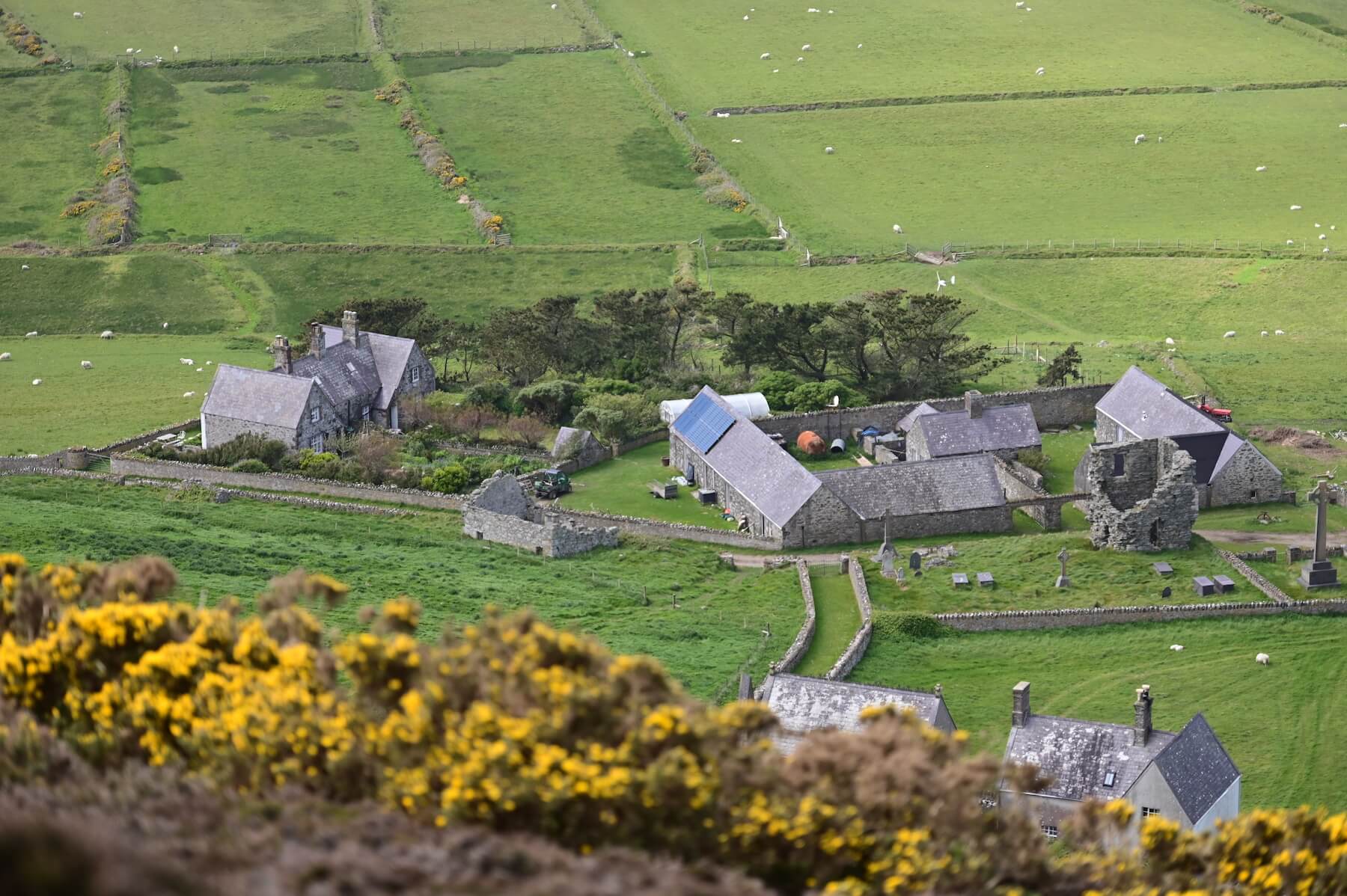 A rural village with stone buildings, green fields, and scattered sheep, viewed from above with yellow flowers in the foreground—evoking the timeless landscapes preserved by the Bardsey Island Trust.
