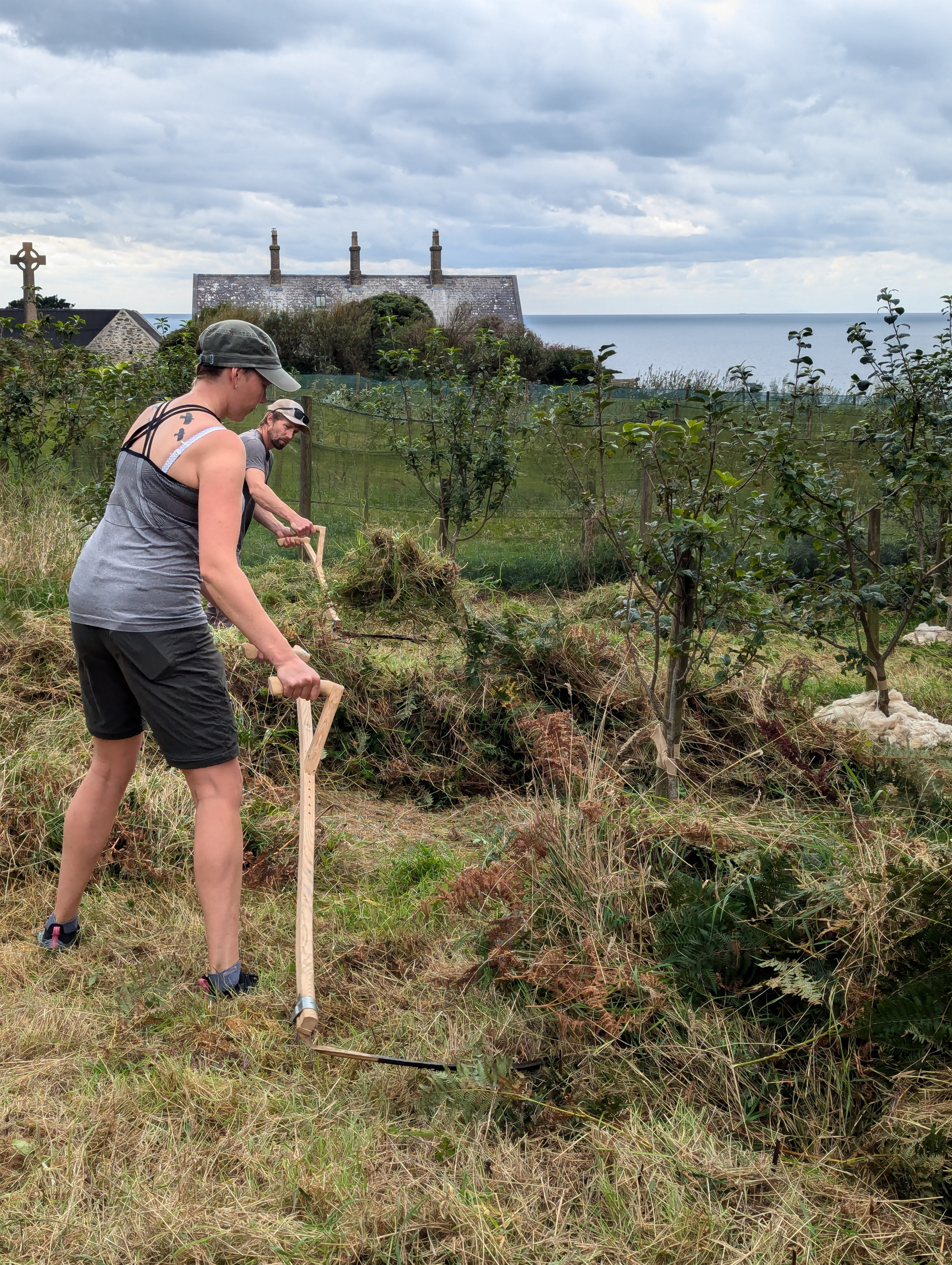 Volunteer at work in the Orchard