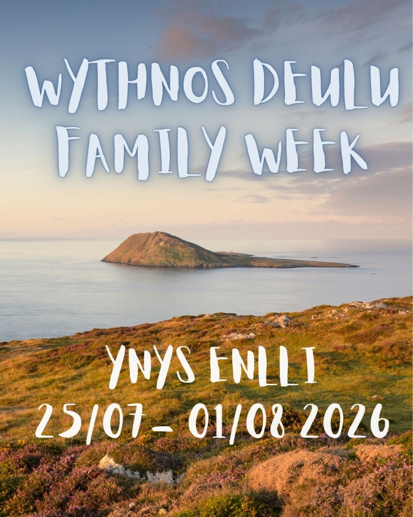 Poster for Wythnos Teulu